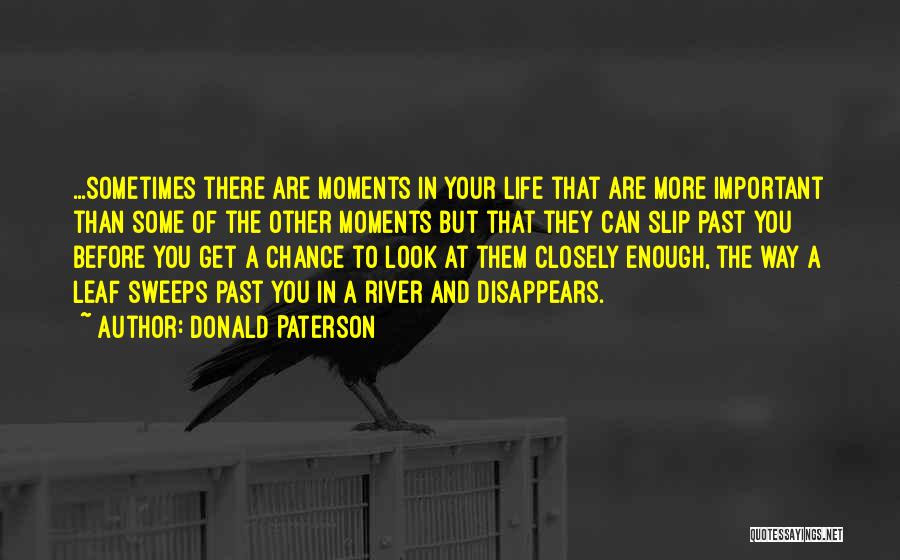 Important Moments In Life Quotes By Donald Paterson