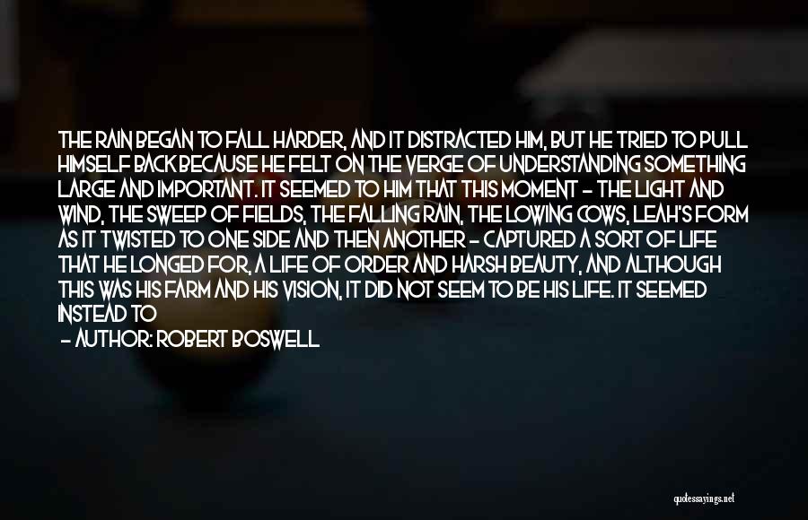 Important Moments In Life Quotes By Robert Boswell