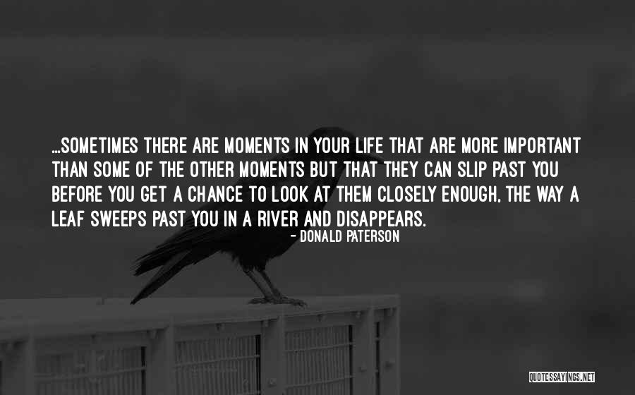 Important Moments Quotes By Donald Paterson