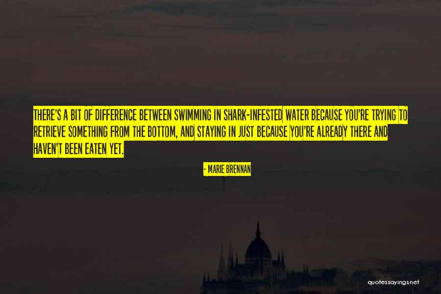 Important Paul Baumer Quotes By Marie Brennan Important Paul Baumer Quotes By Marie Brennan