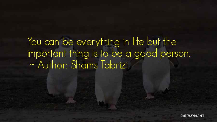 Important Persons In Life Quotes By Shams Tabrizi