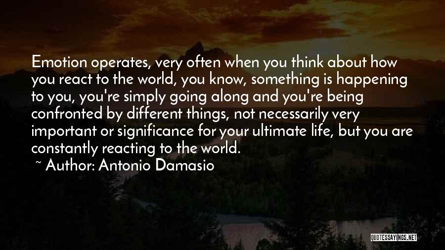 Important Things About Life Quotes By Antonio Damasio