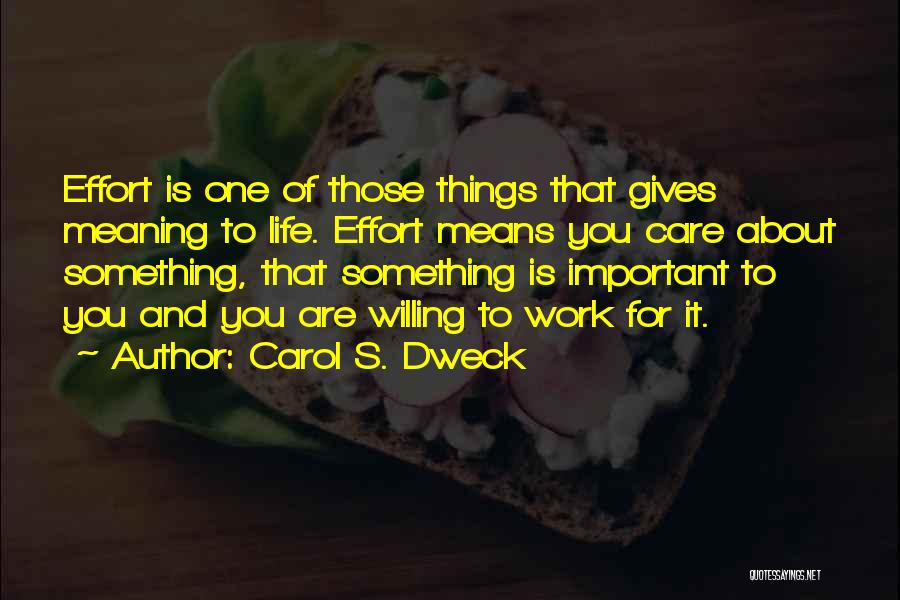 Important Things About Life Quotes By Carol S. Dweck