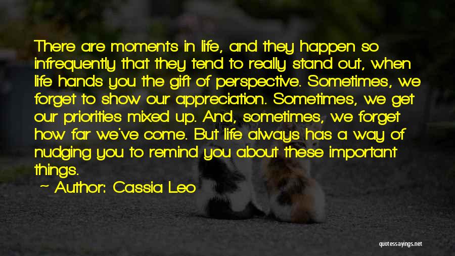 Important Things About Life Quotes By Cassia Leo