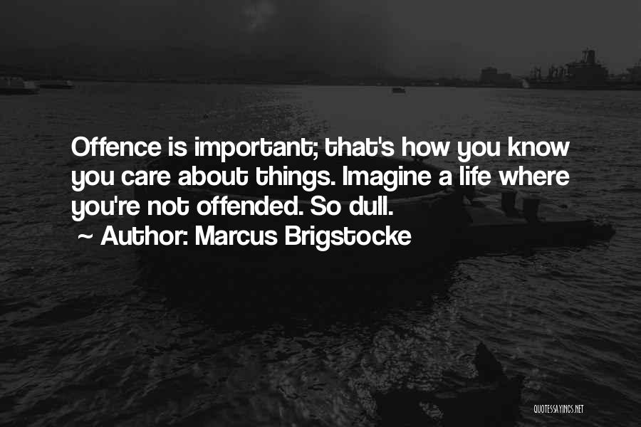 Important Things About Life Quotes By Marcus Brigstocke