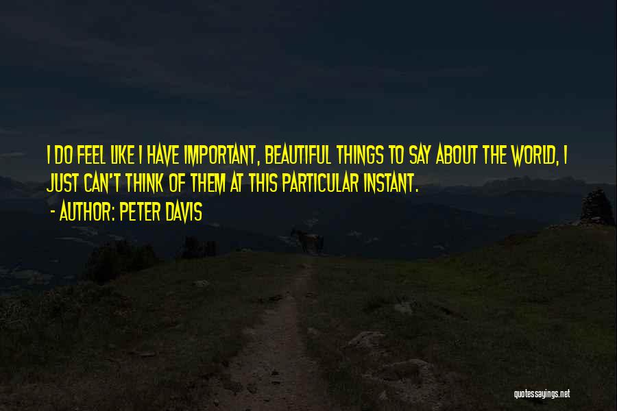 Important Things About Life Quotes By Peter Davis