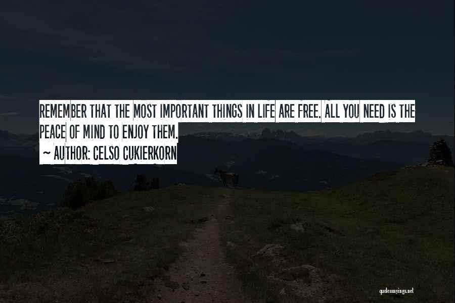 Important Things Of Life Quotes By Celso Cukierkorn