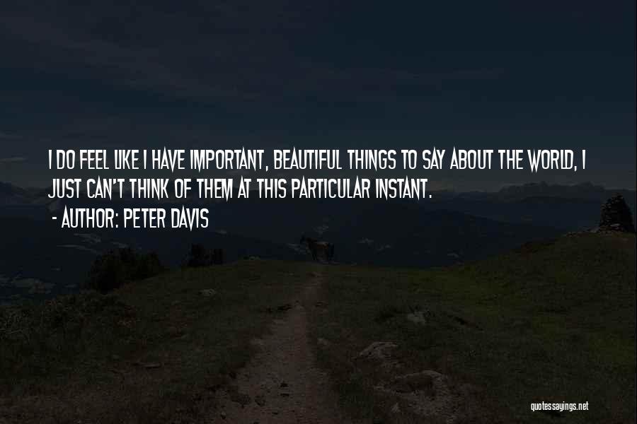 Important Things Of Life Quotes By Peter Davis