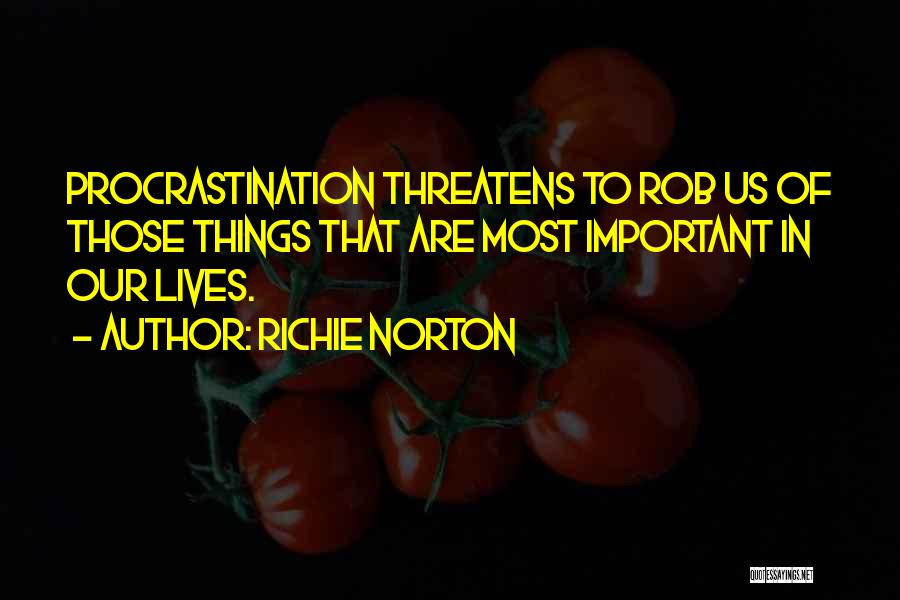 Important Things Of Life Quotes By Richie Norton