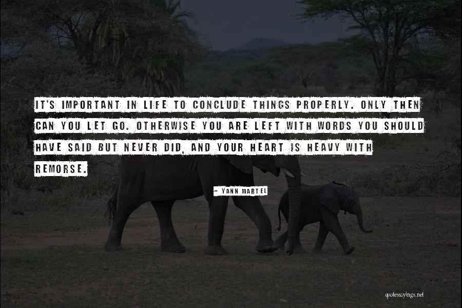 Important Words Quotes By Yann Martel Important Words Quotes By Yann Martel