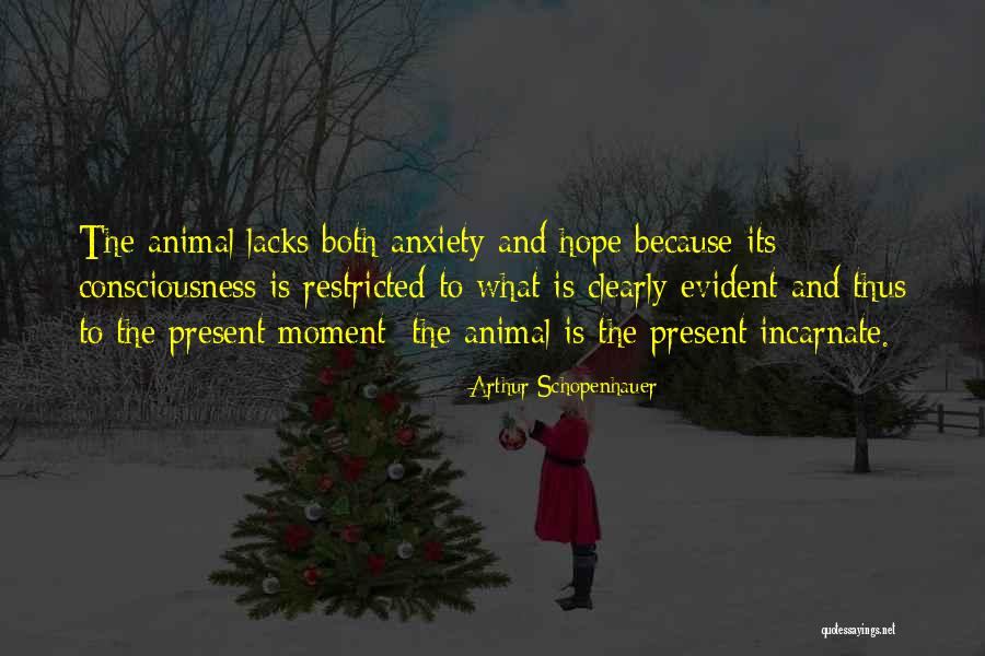 Importantes Cosas Quotes By Arthur Schopenhauer Importantes Cosas Quotes By Arthur Schopenhauer