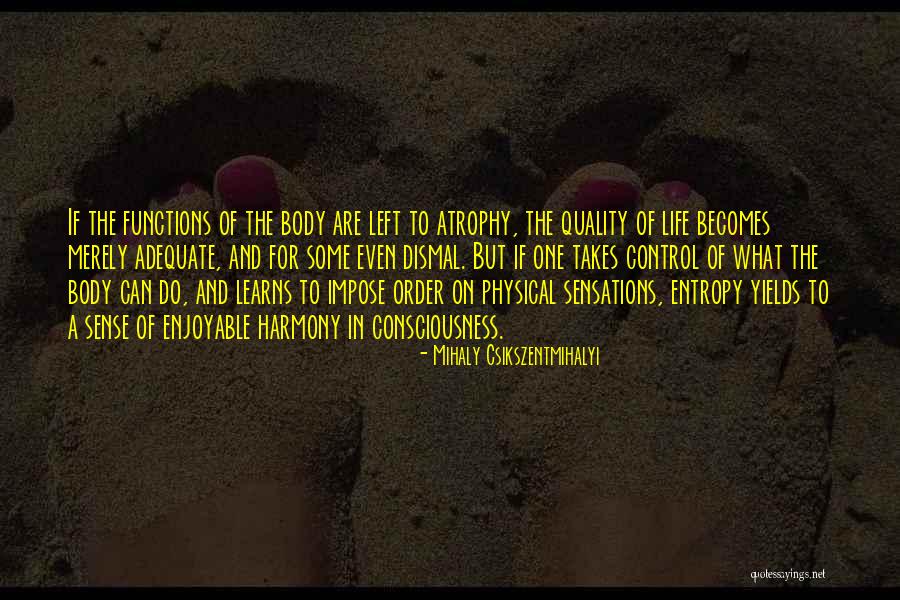 Impose Quotes By Mihaly Csikszentmihalyi Impose Quotes By Mihaly Csikszentmihalyi