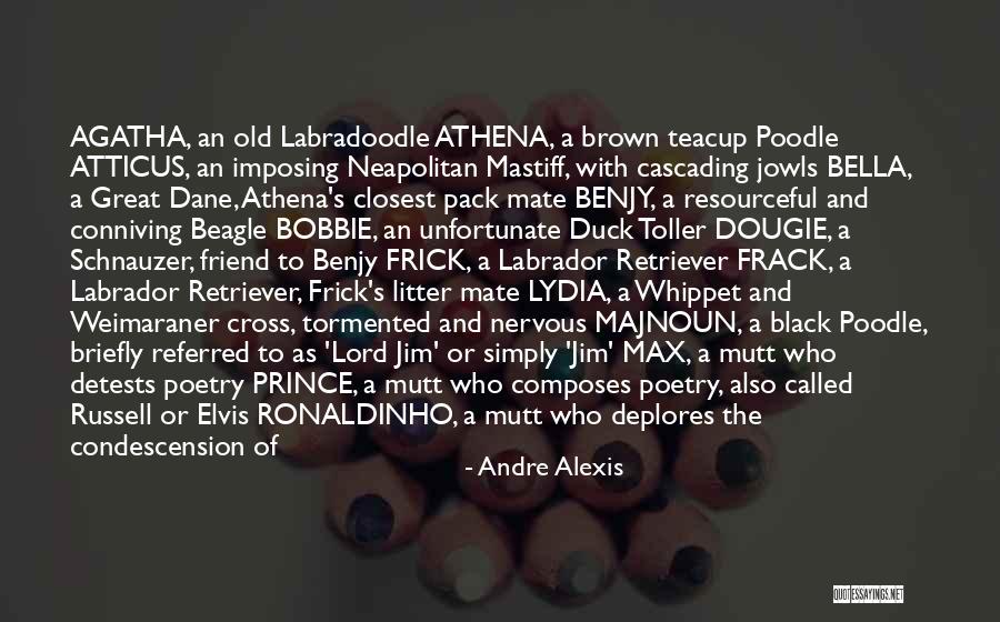 Imposing Quotes By Andre Alexis Imposing Quotes By Andre Alexis
