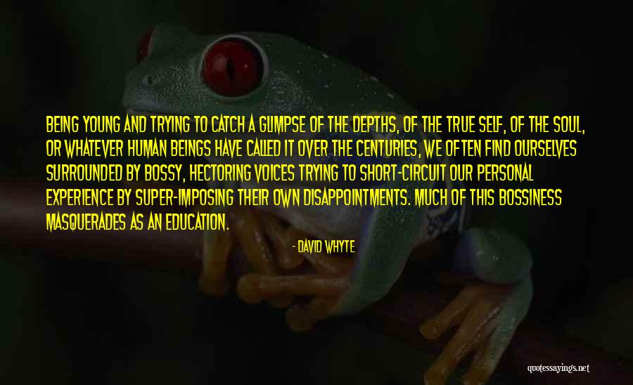 Imposing Quotes By David Whyte Imposing Quotes By David Whyte