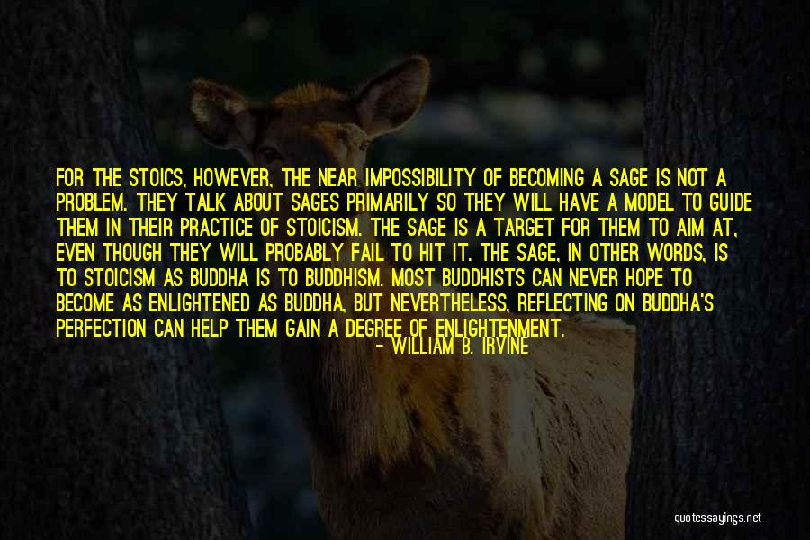 Impossibility Of Perfection Quotes By William B. Irvine Impossibility Of Perfection Quotes By William B. Irvine
