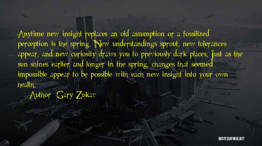 Impossible Into Possible Quotes By Gary Zukav