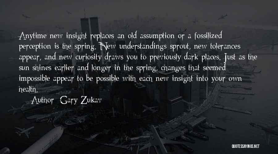 Impossible To Possible Quotes By Gary Zukav