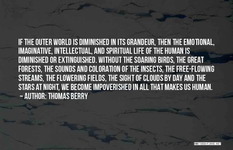 Impoverished Quotes By Thomas Berry