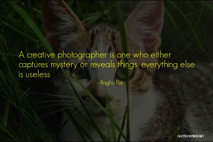 Impozitele Directe Quotes By Raghu Rai Impozitele Directe Quotes By Raghu Rai
