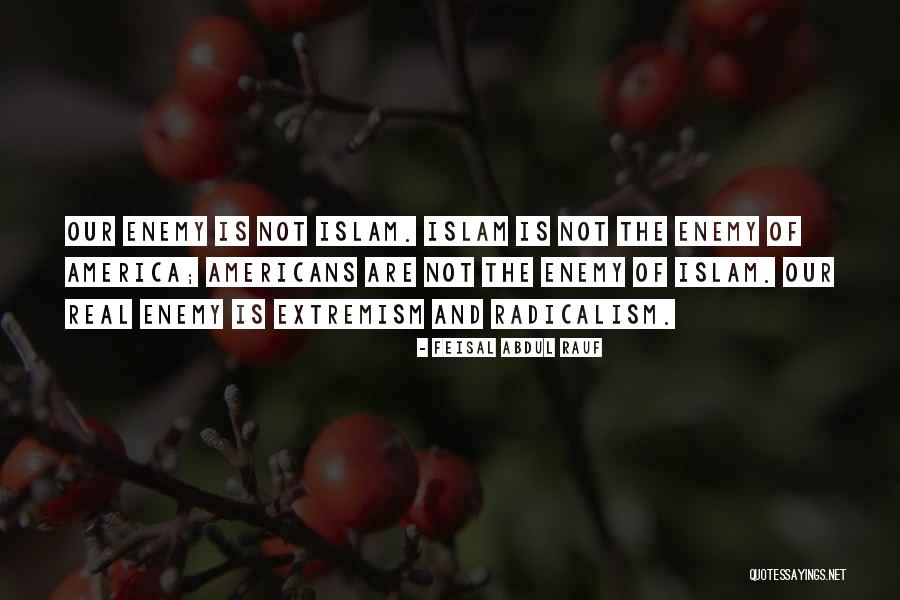 Impregnator Quotes By Feisal Abdul Rauf Impregnator Quotes By Feisal Abdul Rauf