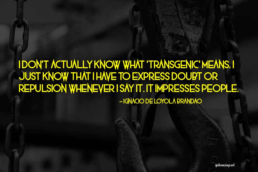 Impresses Quotes By Ignacio De Loyola Brandao