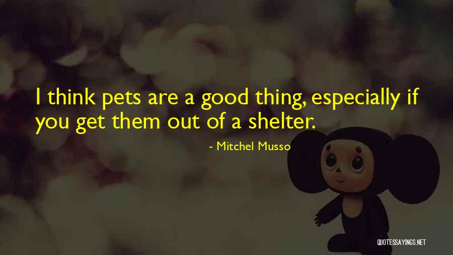 Impressionists Landscapes Quotes By Mitchel Musso Impressionists Landscapes Quotes By Mitchel Musso