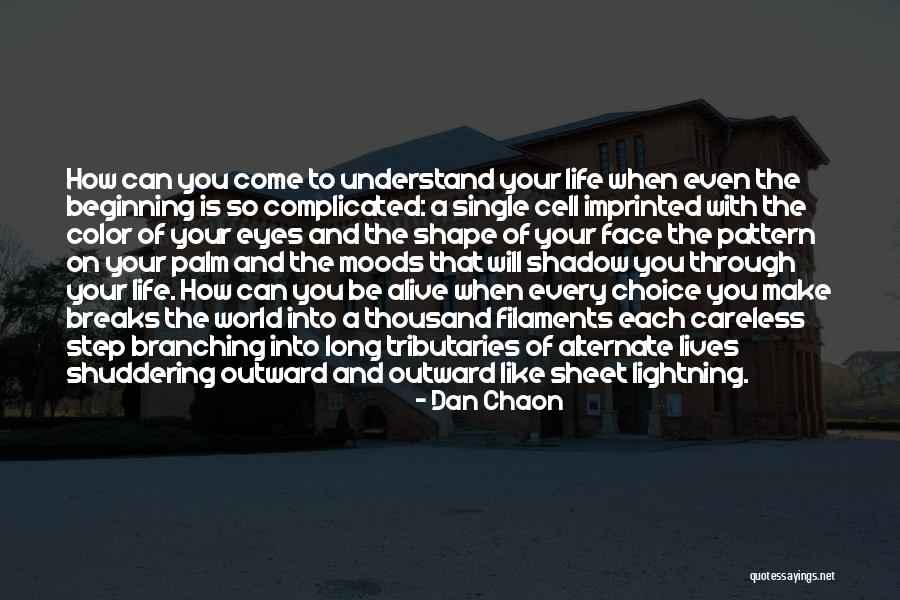 Imprinted Face Quotes By Dan Chaon Imprinted Face Quotes By Dan Chaon