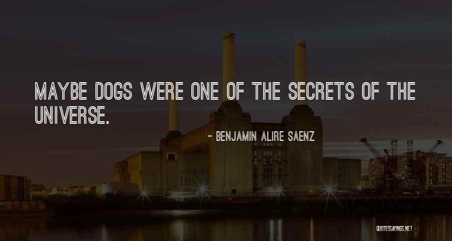 Imprinter Davines Quotes By Benjamin Alire Saenz Imprinter Davines Quotes By Benjamin Alire Saenz