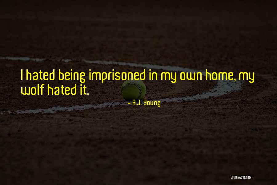 Imprisoned Quotes By A.J. Young