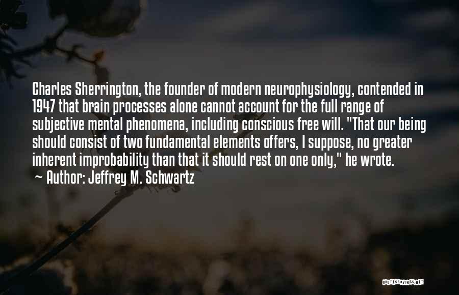 Improbability Quotes By Jeffrey M. Schwartz