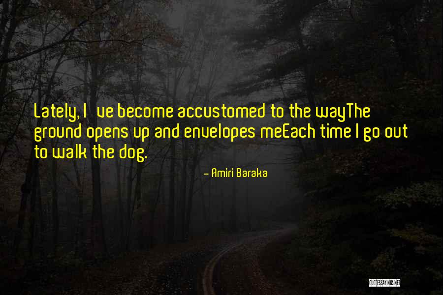 Impromptu 1991 Memorable Quotes By Amiri Baraka Impromptu 1991 Memorable Quotes By Amiri Baraka