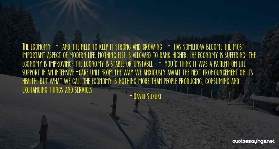 Improving Health Care Quotes By David Suzuki