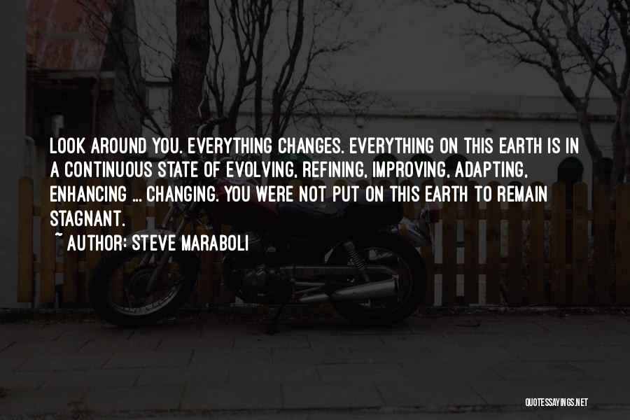 Improving Life Quotes By Steve Maraboli