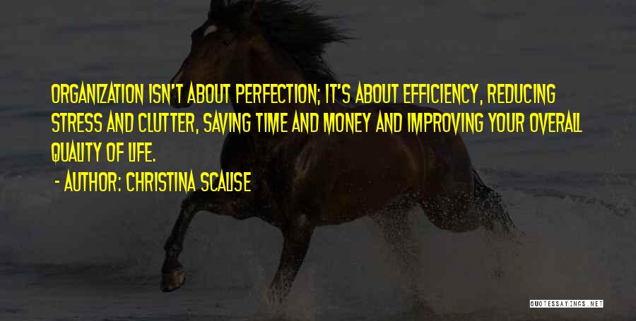 Improving Your Life Quotes By Christina Scalise