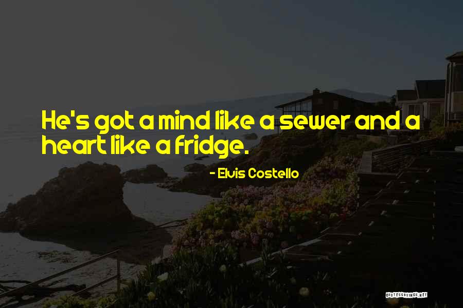 Imprudently Crossword Quotes By Elvis Costello Imprudently Crossword Quotes By Elvis Costello