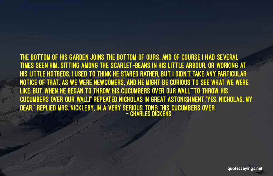 Impudence Quotes By Charles Dickens Impudence Quotes By Charles Dickens