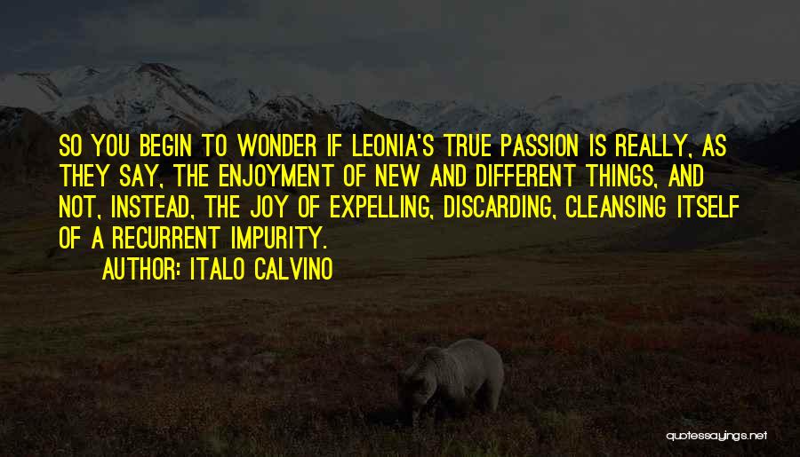 Impurity Quotes By Italo Calvino