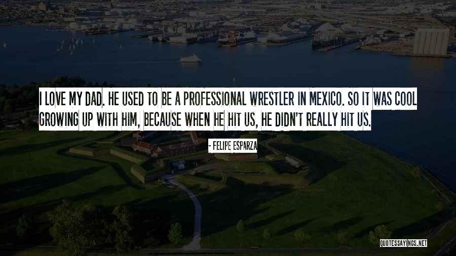 Imrich Chlamtac Quotes By Felipe Esparza Imrich Chlamtac Quotes By Felipe Esparza