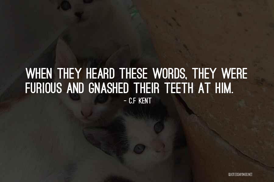 Imus Quotes By C.F Kent Imus Quotes By C.F Kent