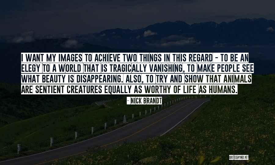 Imzadi Band Quotes By Nick Brandt Imzadi Band Quotes By Nick Brandt