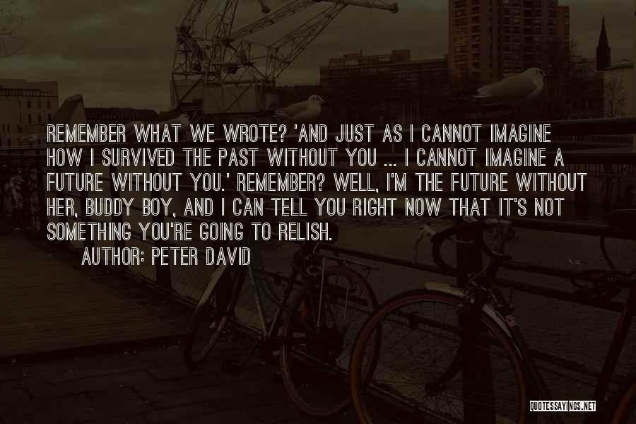 Imzadi Quotes By Peter David