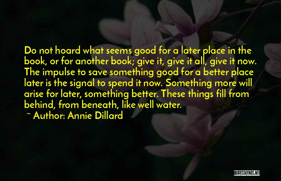 In A Better Place Now Quotes By Annie Dillard
