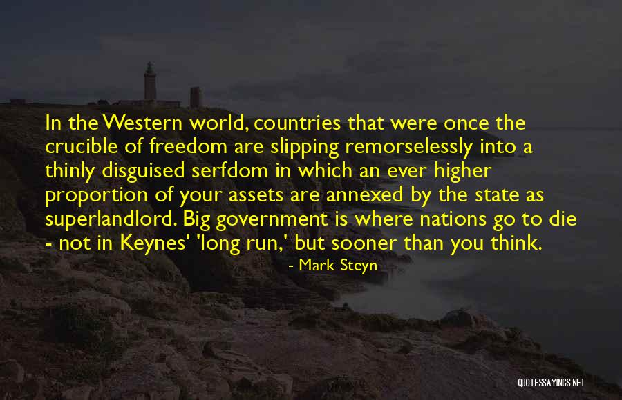 In A Big World Quotes By Mark Steyn