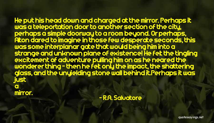 In A Mirror City Quotes By R.A. Salvatore In A Mirror City Quotes By R.A. Salvatore