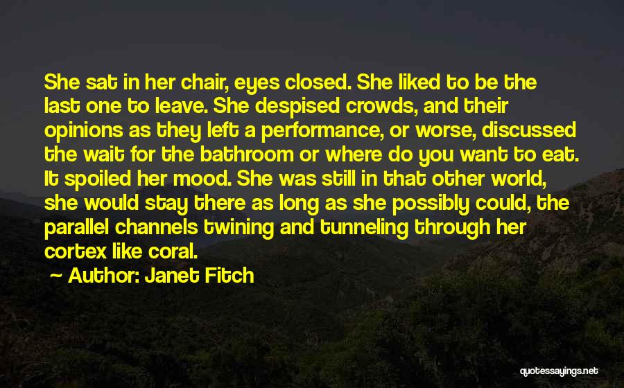 In A Parallel World Quotes By Janet Fitch