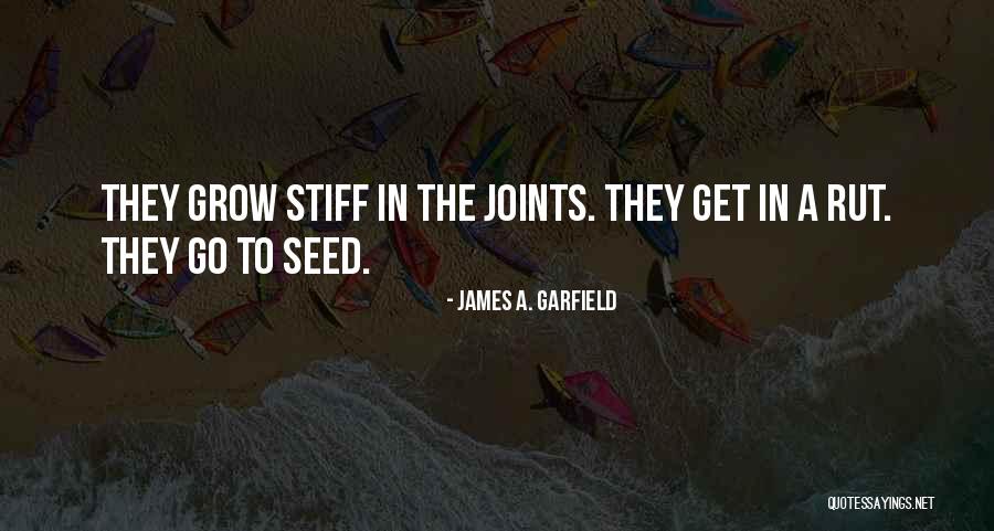 In A Rut Quotes By James A. Garfield In A Rut Quotes By James A. Garfield