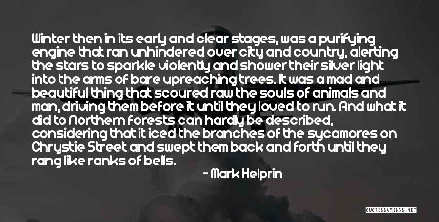 In A Winter City Quotes By Mark Helprin In A Winter City Quotes By Mark Helprin