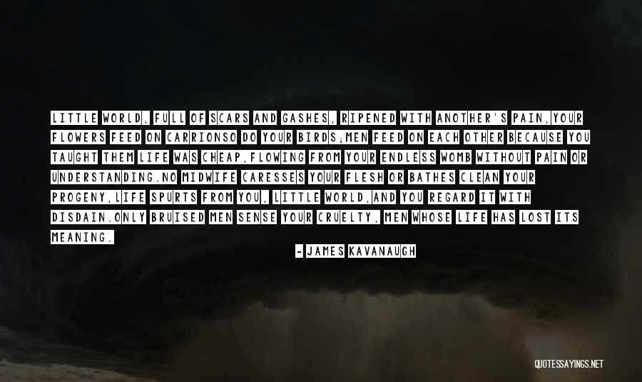 In A World Full Of Cruelty Quotes By James Kavanaugh In A World Full Of Cruelty Quotes By James Kavanaugh