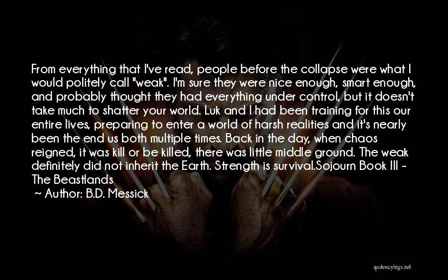 In A World Of Chaos Quotes By B.D. Messick