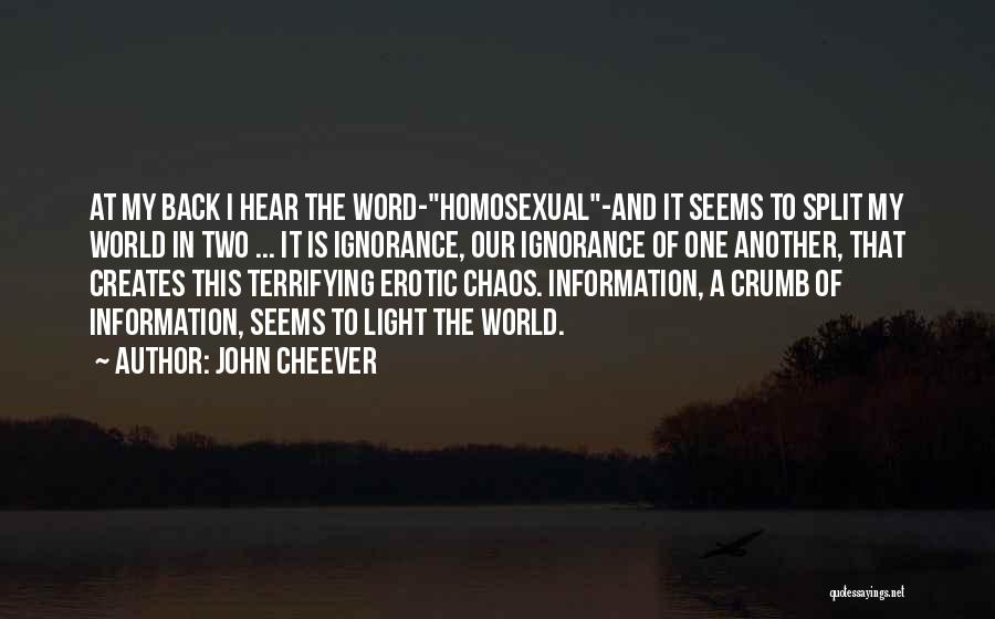 In A World Of Chaos Quotes By John Cheever